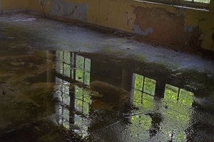 Kent-School_18