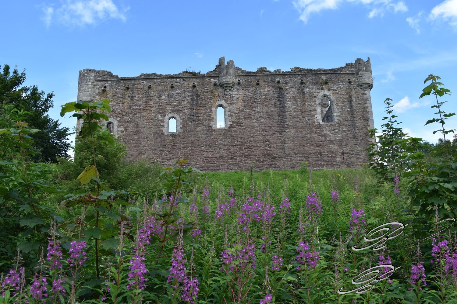 DouneCastle