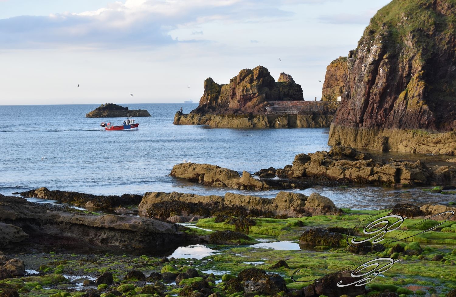 Dunbar