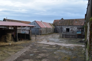 Stonelaws