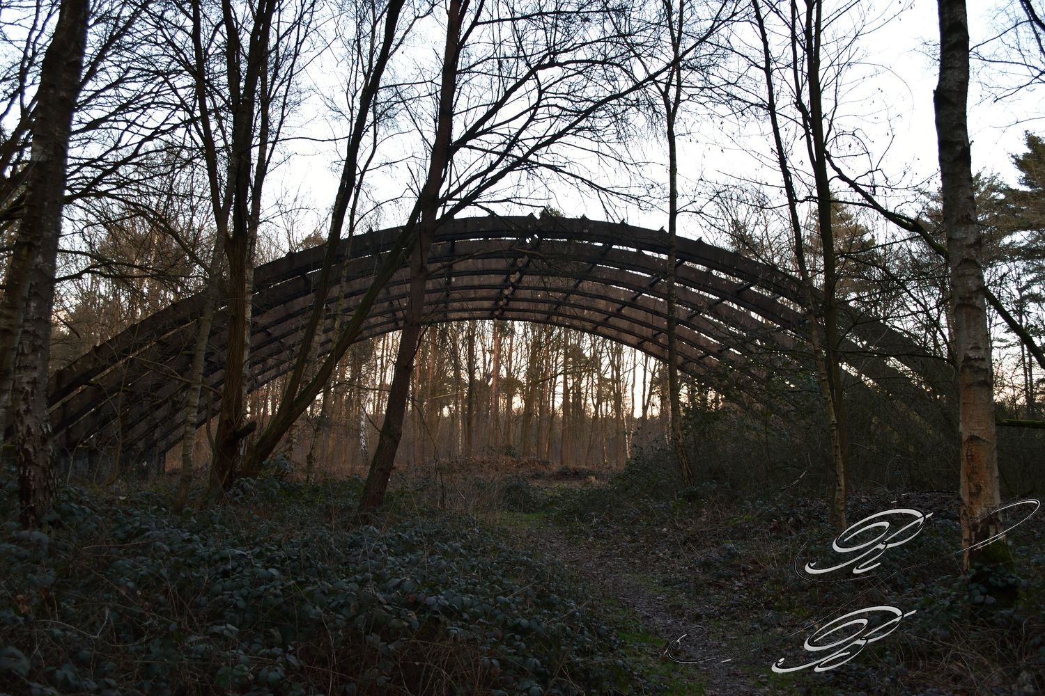 Venloer_Heide_001
