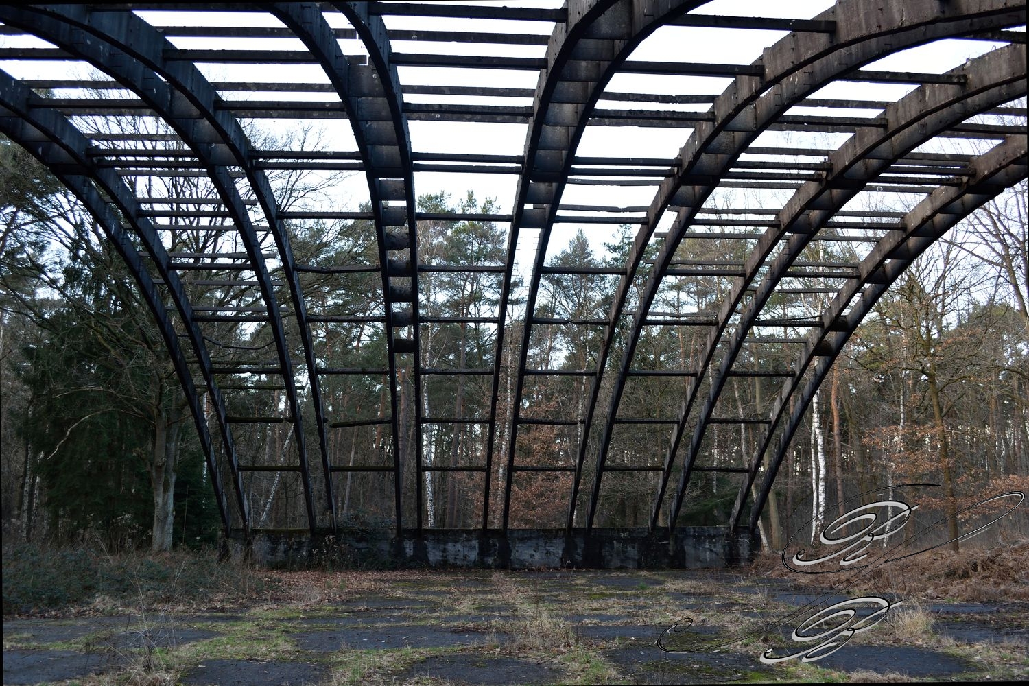 Venloer_Heide_002