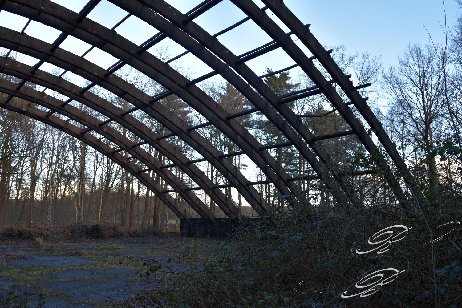 Venloer_Heide_003