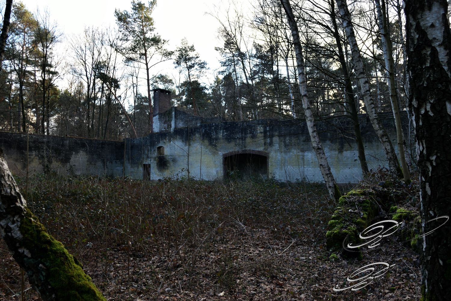 Venloer_Heide_015