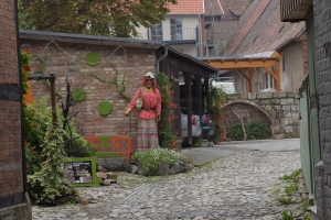 FT_Harz_2016_047