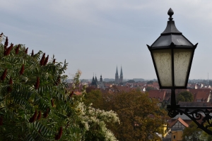 FT_Harz_2016_054