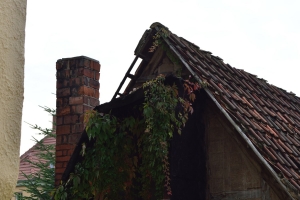 FT_Harz_2016_058