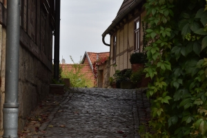 FT_Harz_2016_061