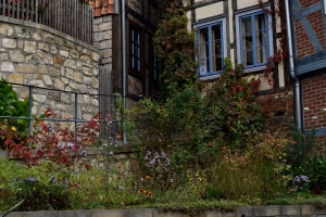 FT_Harz_2016_062