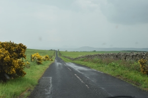 DSC_7080