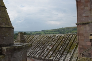 DSC_7104