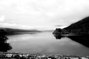 DSC_7272_SW
