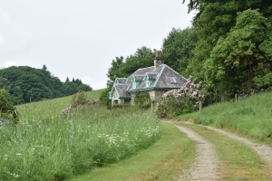 DSC_7298
