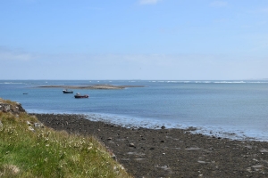 DSC_7438